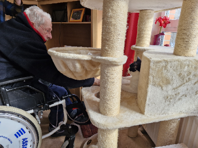 Wunschfahrt zur Verabschiedung vom Kater